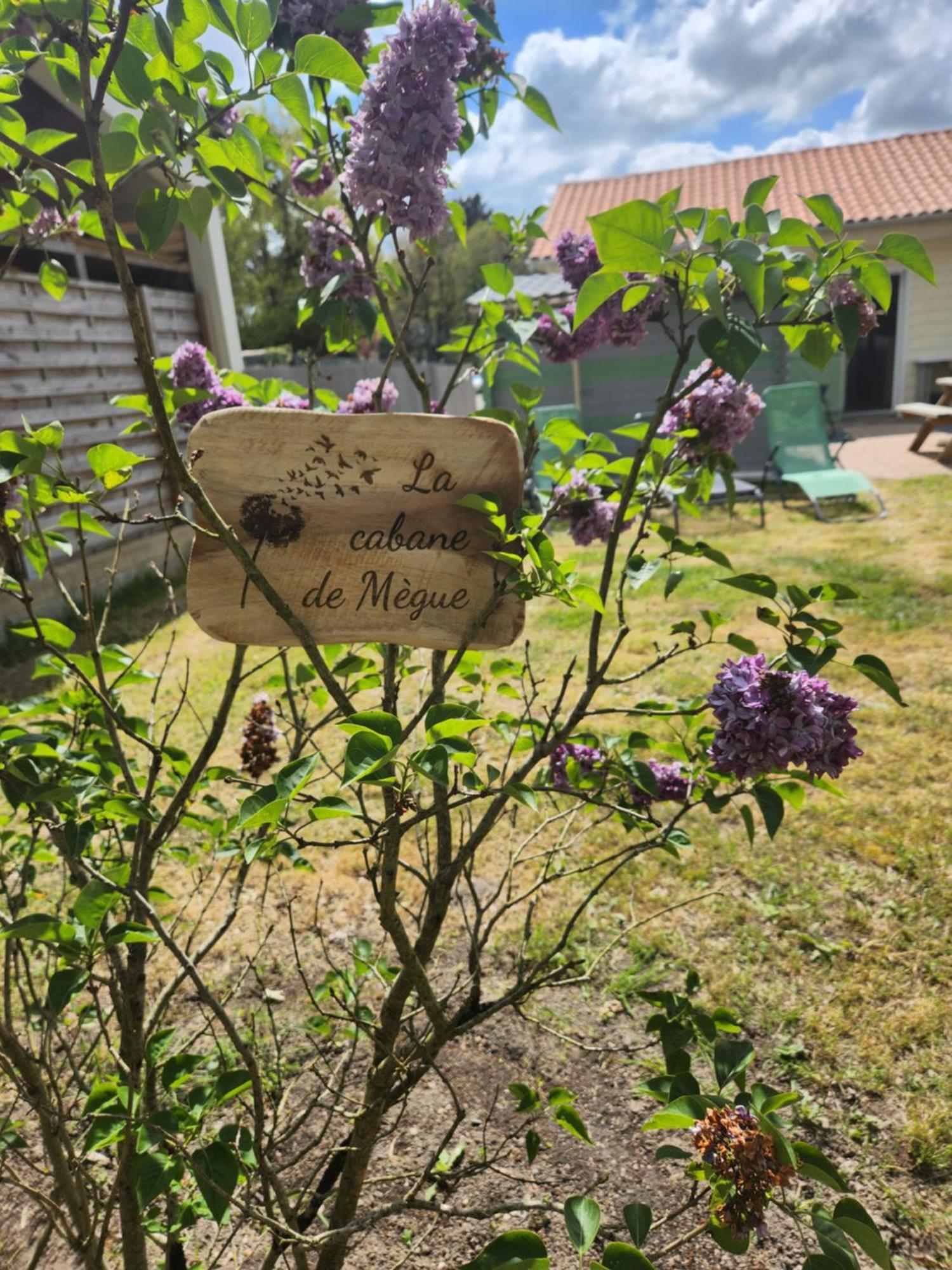 La Cabane De Megue Froidfond Exteriör bild
